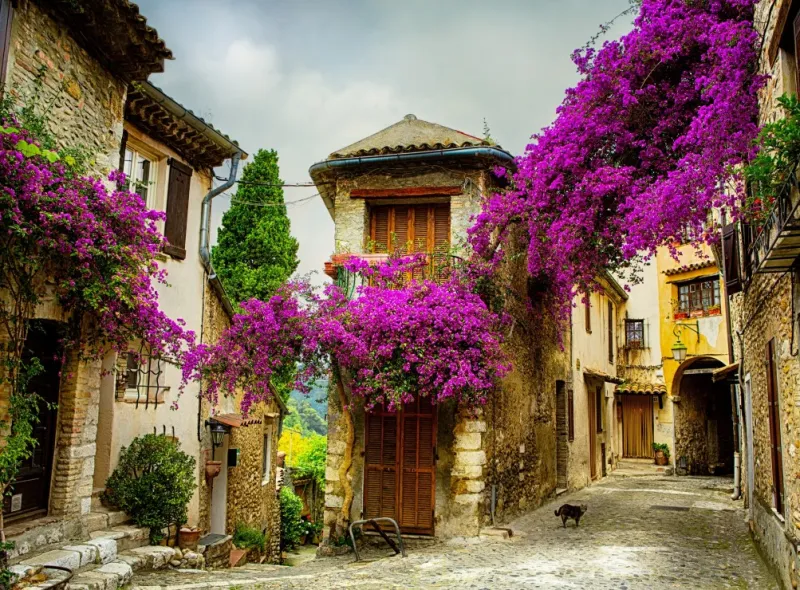 Provence, France
