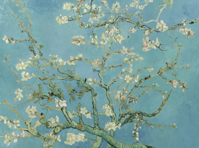 Vincent van Gogh, 1890