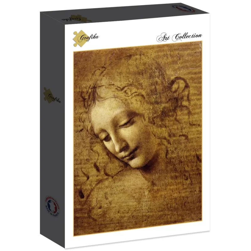 Leonardo da Vinci : The Face of Giovane Fanciulla, 1508