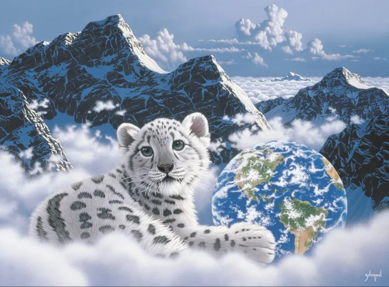 Schim Schimmel - Bed of Clouds