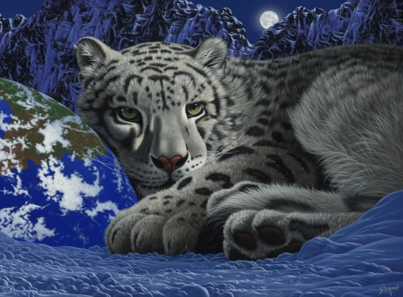 Schim Schimmel - The Warmth of Home