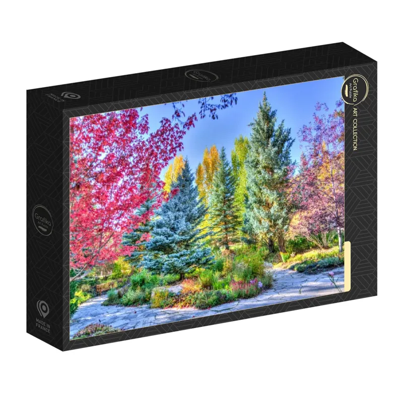 Colorful Forest, Colorado, USA