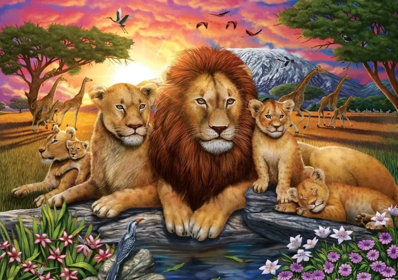 Lion Family