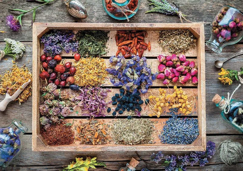 FLEURS SÉCHÉES
