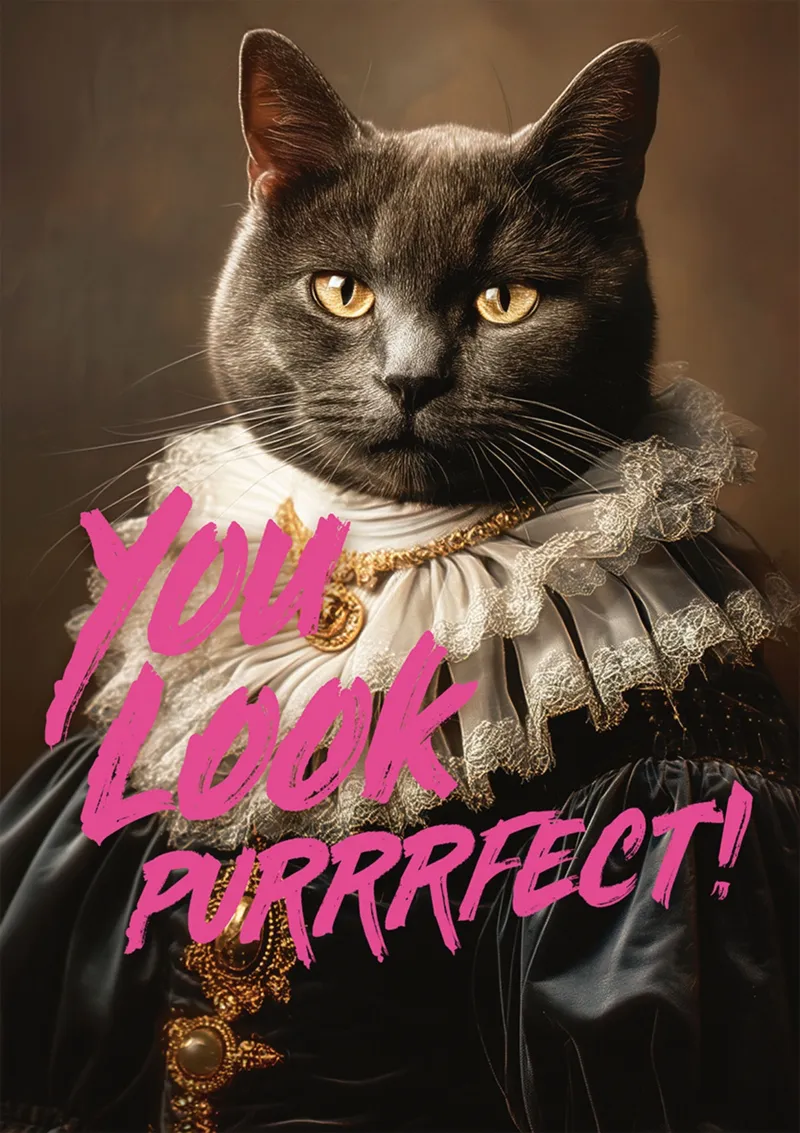 You Look Purrrfect !