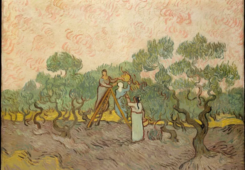 Van Gogh: Women Picking Olives,1889