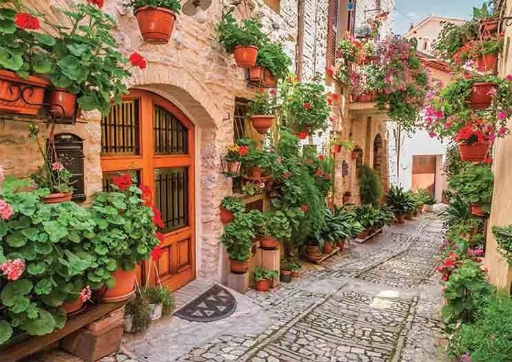A Street in Italy