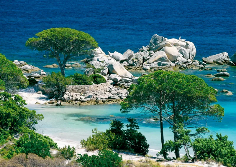 Jigsaw Puzzle - 1000 Pieces - Corsica : Palombaggia Beach