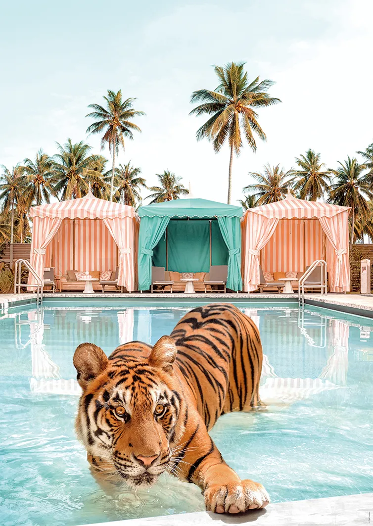 Royal Bathing - Paul Fuentes Design