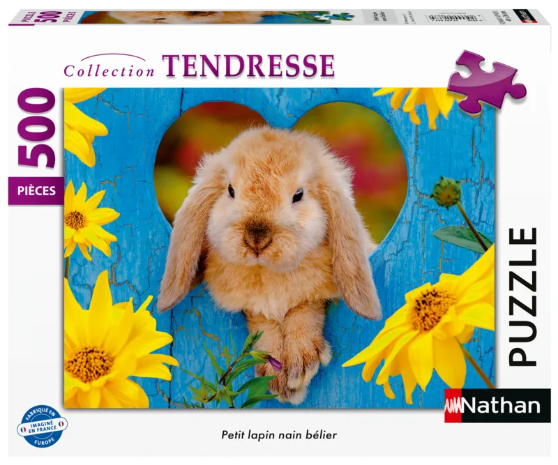 Little Dwarf Ram Rabbit