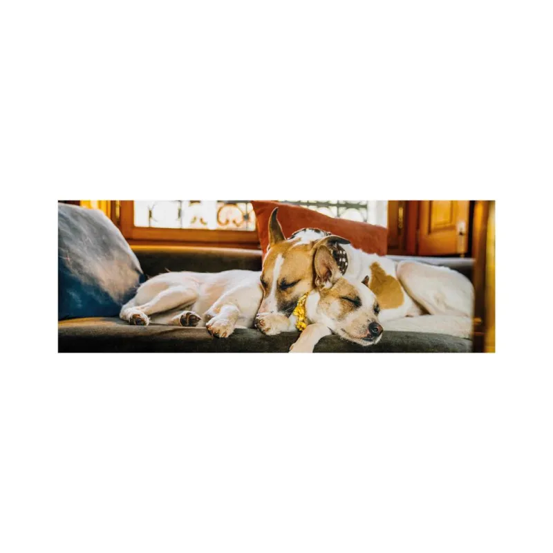 Gump II - Panoramic Puzzle