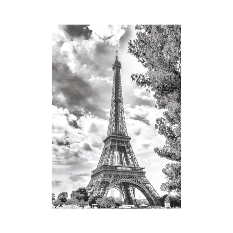 Black and White Eiffel Tower