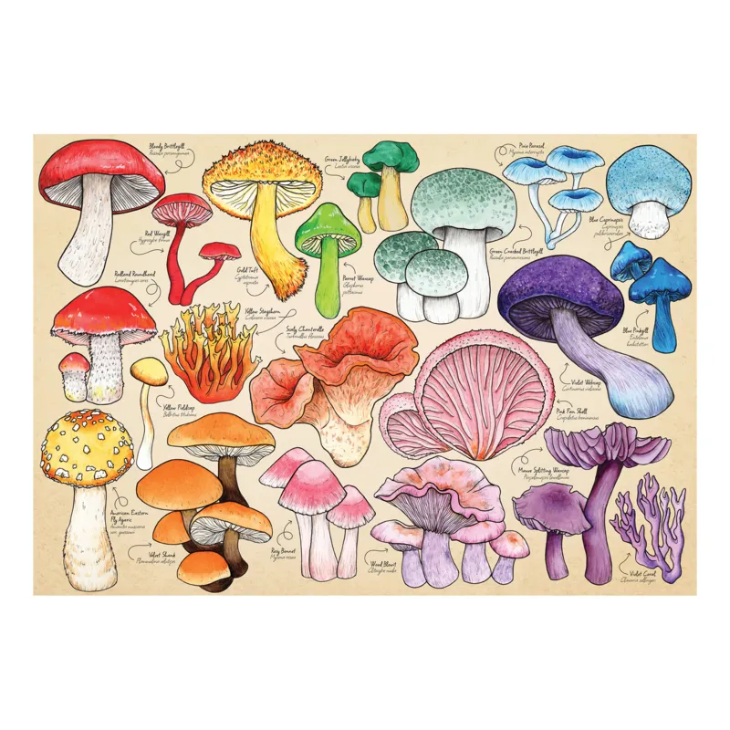 Mushroom Mania