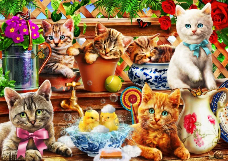 Kittens in the Potting Shed