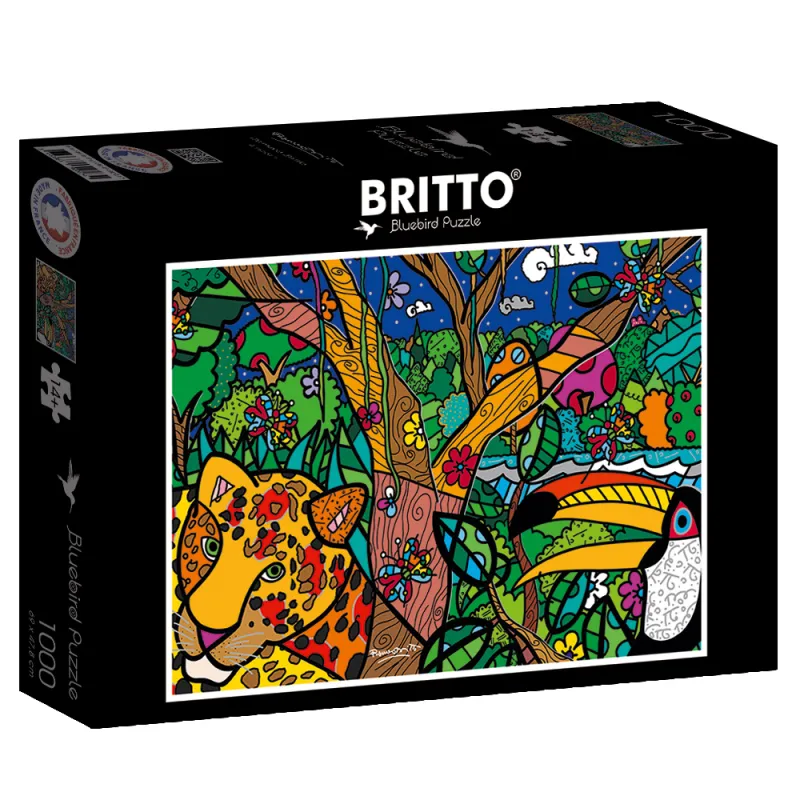 Romero Britto - Amazon