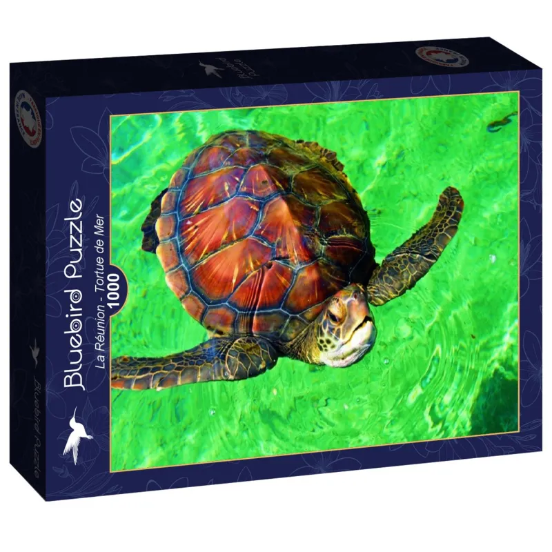 La Réunion - Tortue de Mer