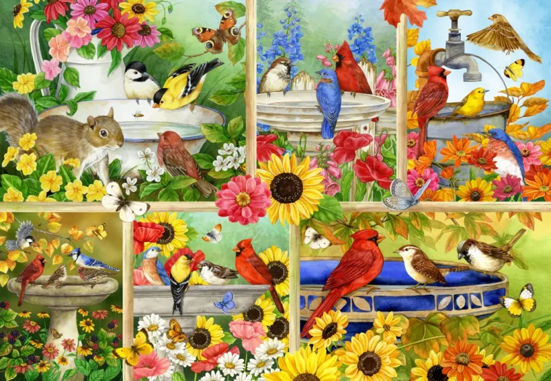 Feathers and Company