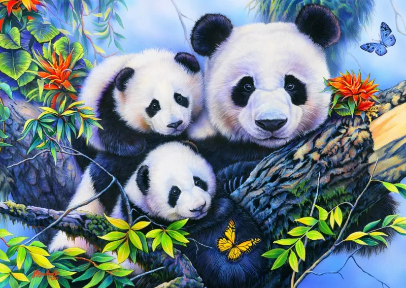 Panda Family