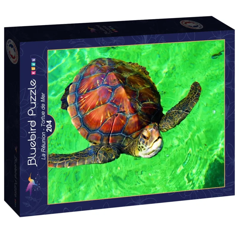 La Réunion - Tortue de Mer