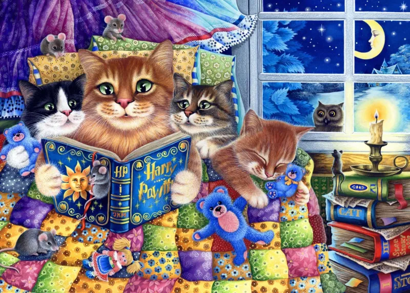 Kitten Bedtime Stories