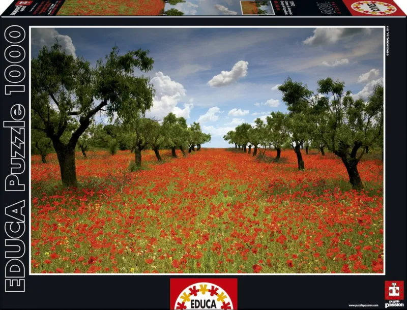 Field of Poppies
