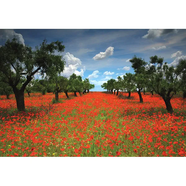 Field of Poppies