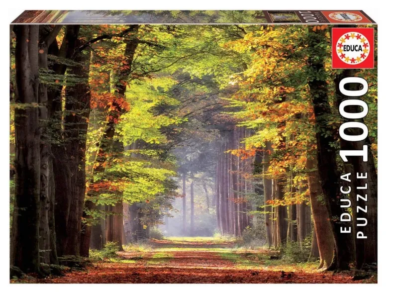 Walk through the autumn forest