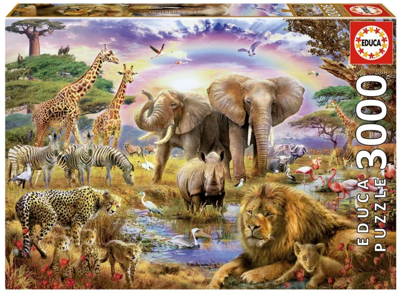 Watering Hole under the Rainbow