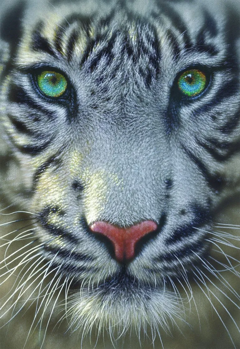 White Tiger