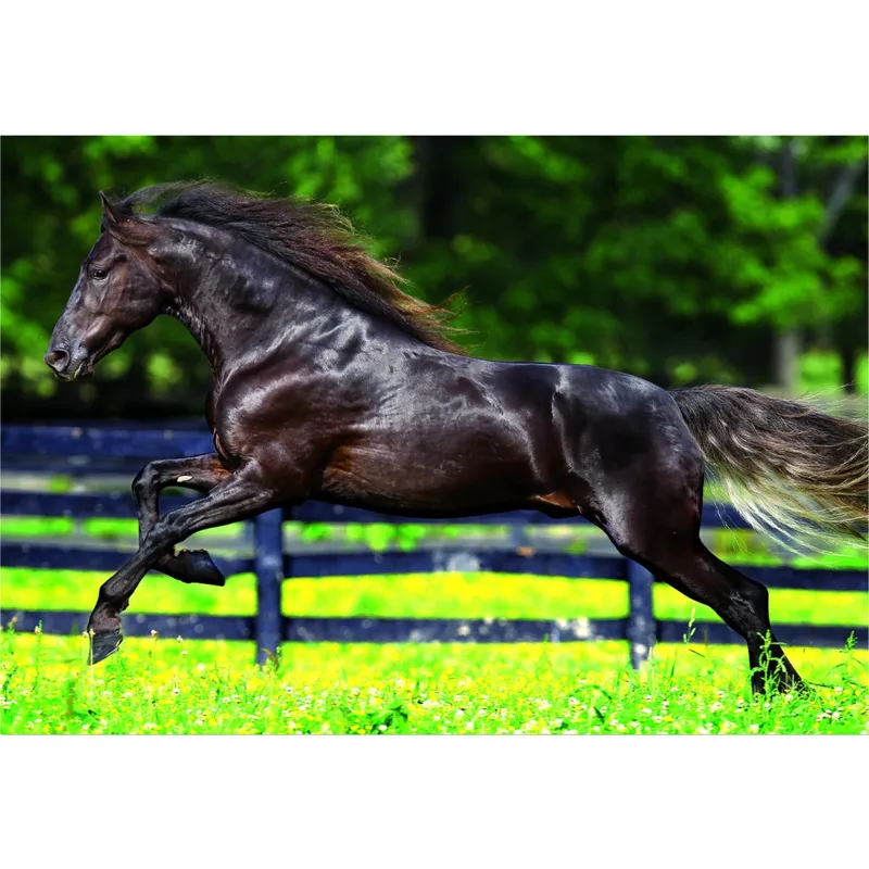 Jigsaw Puzzle - 500 Pieces - Full Gallop