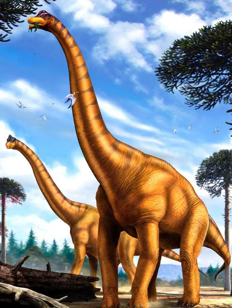 XXL Pieces - Brachiosaurus
