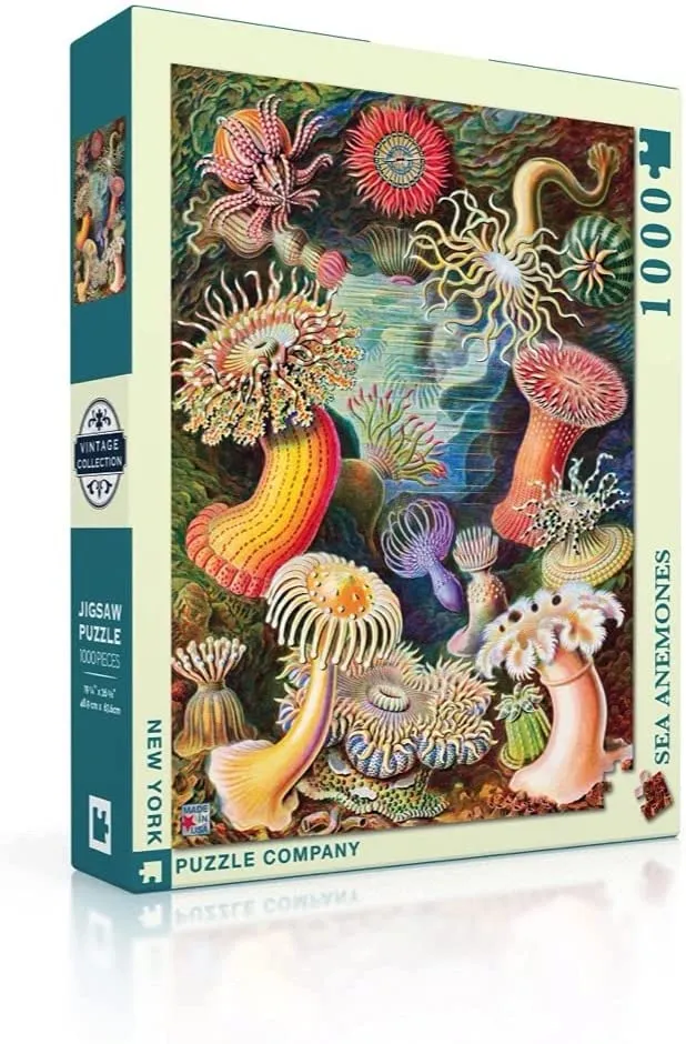 Vintage Images - Sea Anemones
