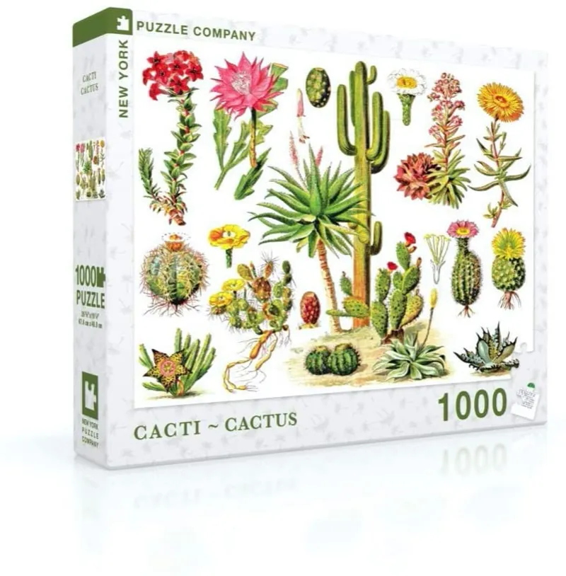 Cacti - Cactus