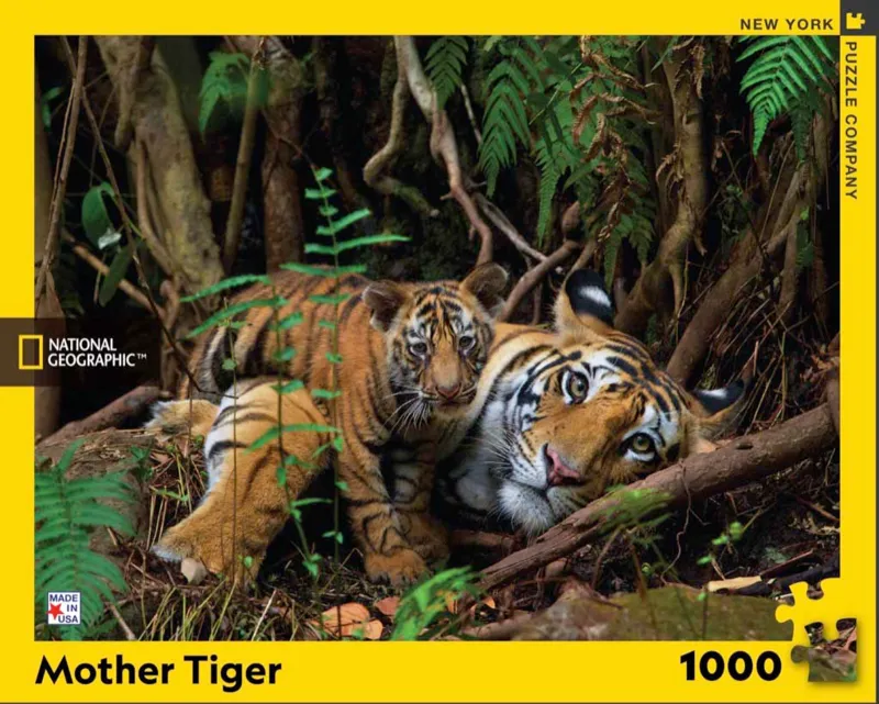 Mother Tiger and Cub