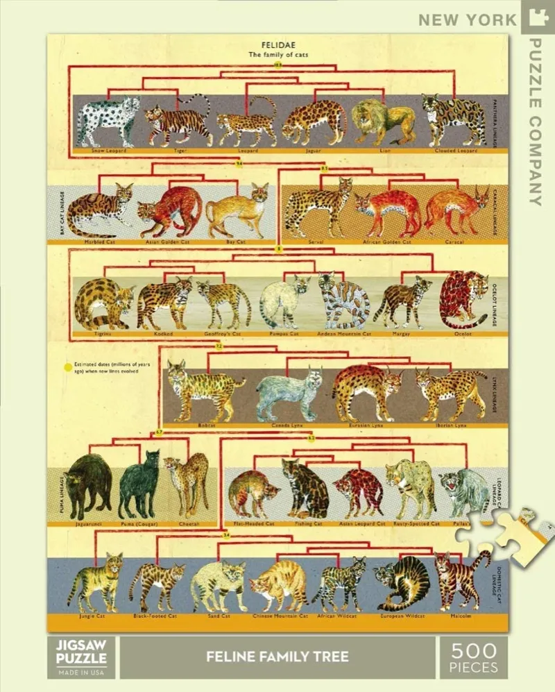 XXL Pieces - Feline Family Tree