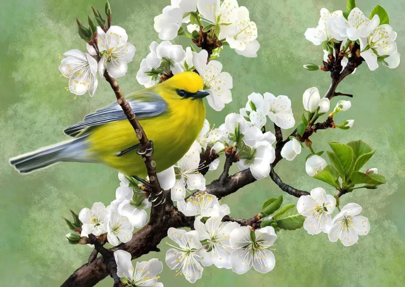 Herold des Frühlings