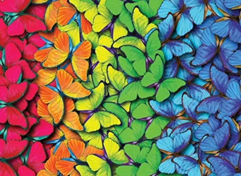 Multicolored Butterflies