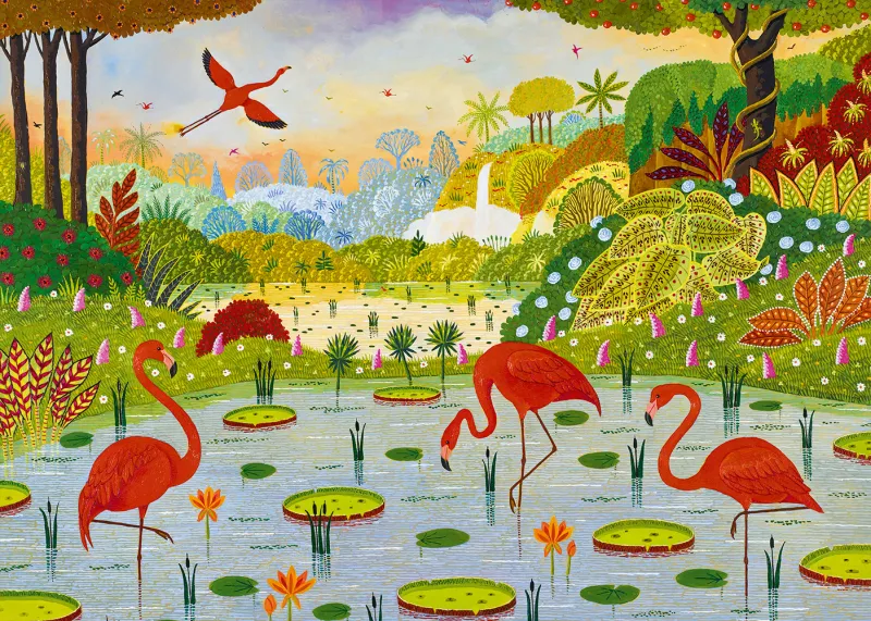 Caribbean Flamingos