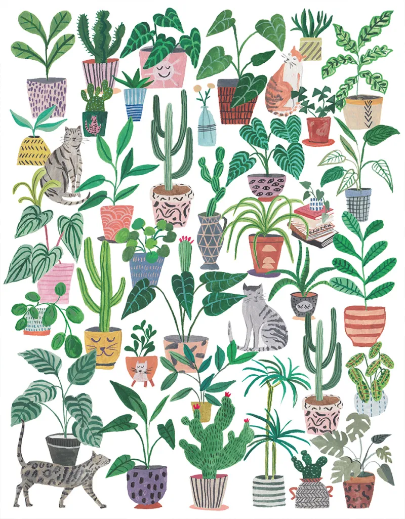 Cats and Plants