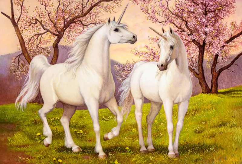 Unicorn Love