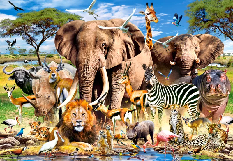 Savanna Animals