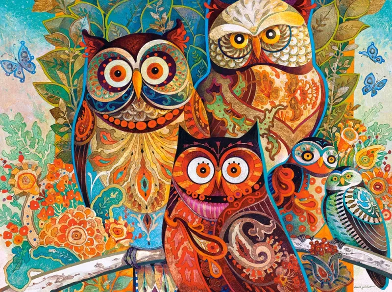 David Galchutt: Owls