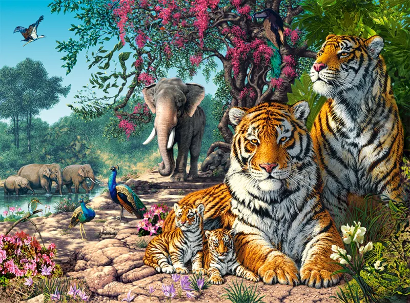 The Tiger Sanctuary