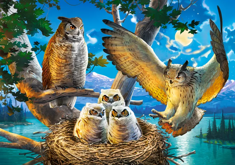 Owl Family