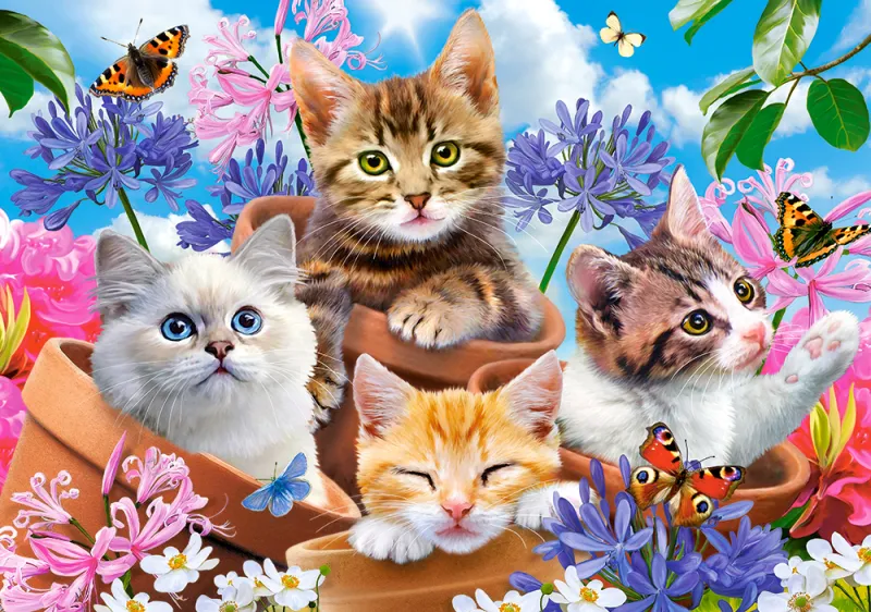 Kittens with Flowers