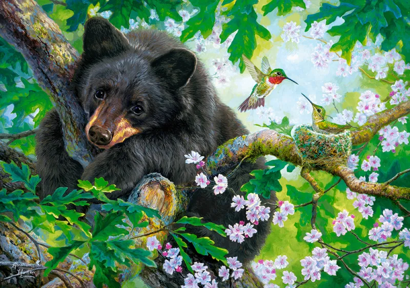 The Bear and the Hummingbirds