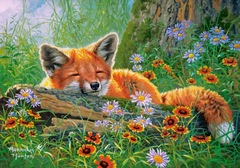 Foxy Dreams