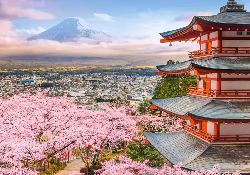 Spring in Japan