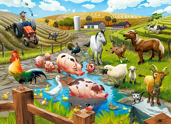 Life on the Farm
