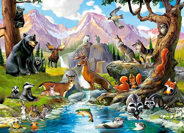 Forest Animals